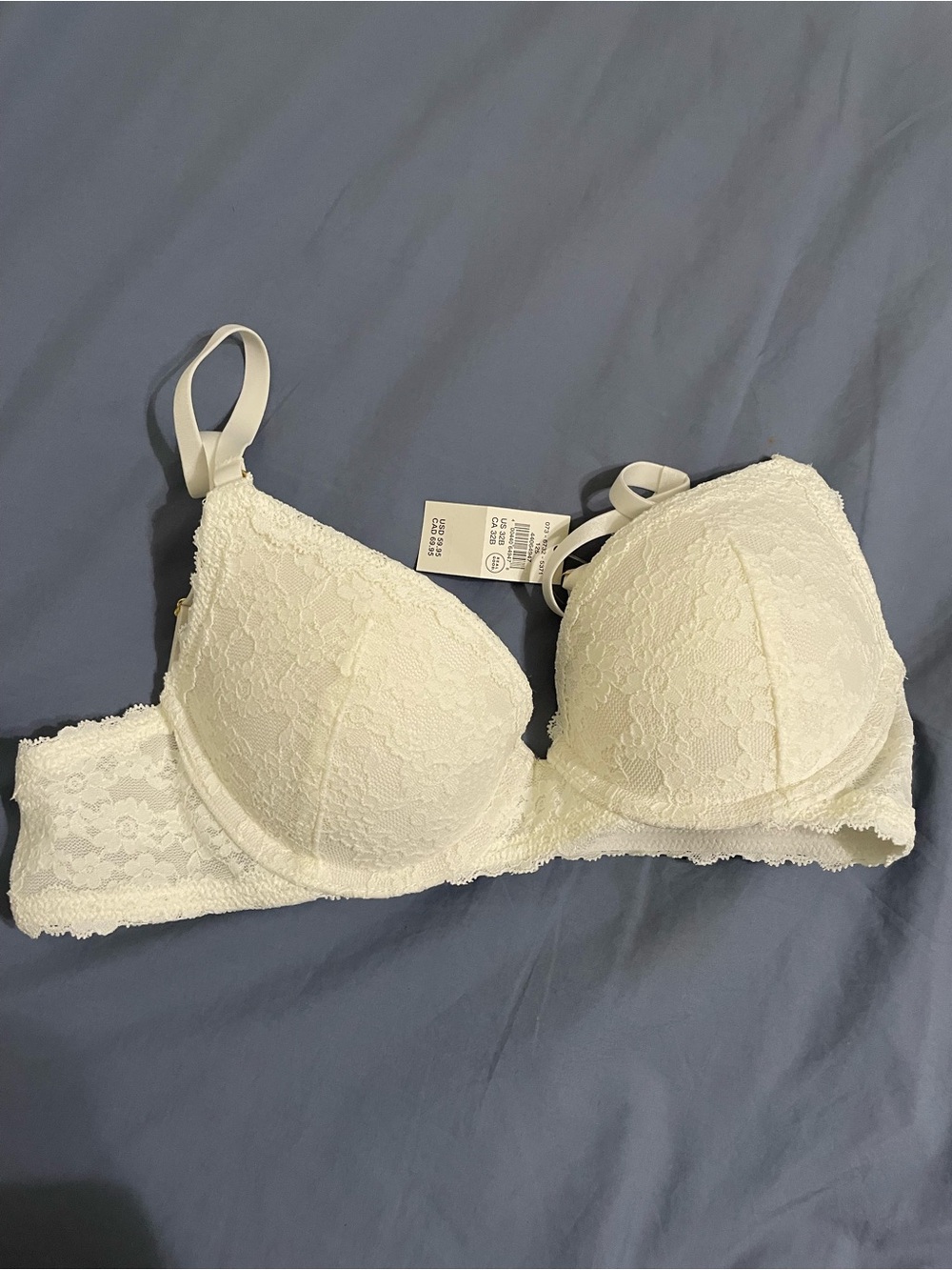 aerie Ivory Lace Push-Up Bra